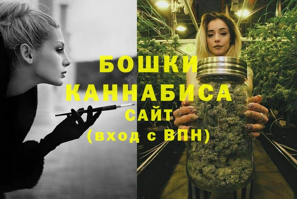 сатива Навашино