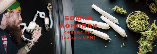 индика Надым