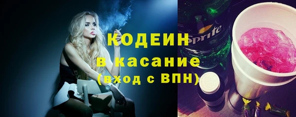 индика Надым