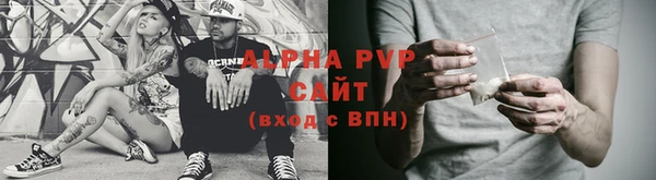 индика Надым