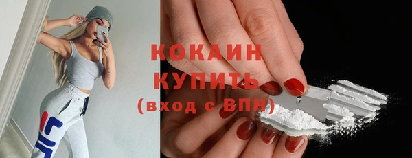 индика Надым