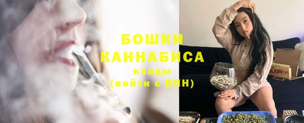 индика Надым