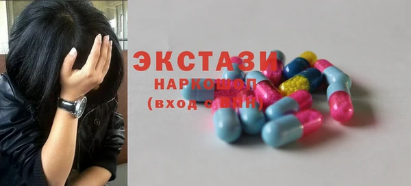 индика Надым