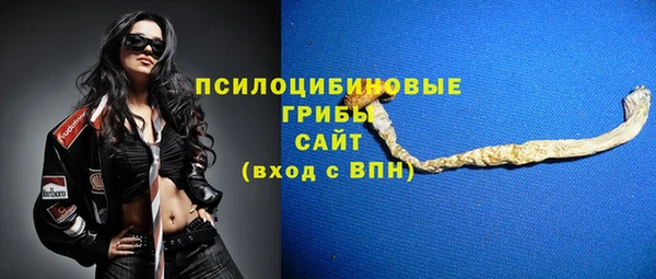 индика Надым