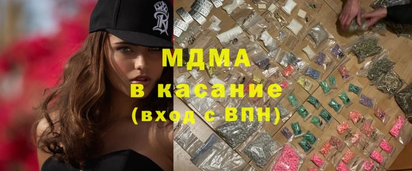 индика Надым