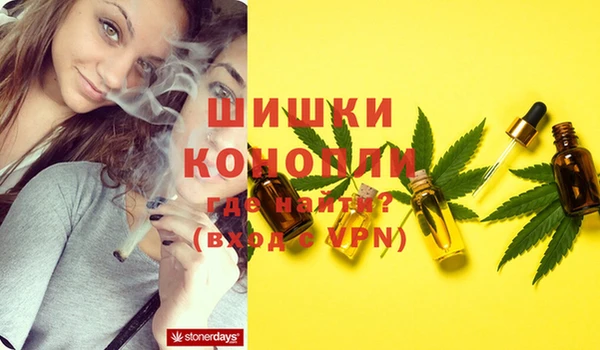 сатива Навашино