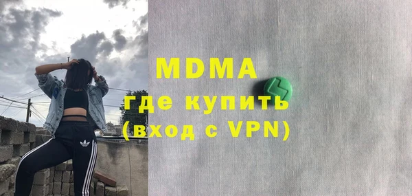 индика Надым