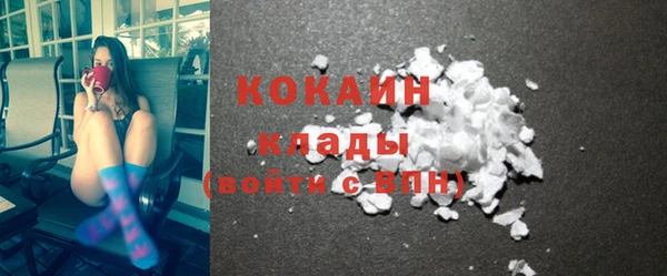 индика Надым