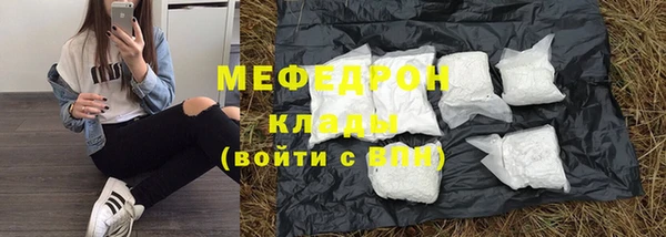 индика Надым