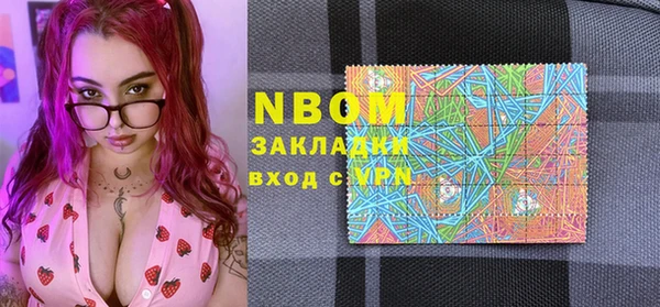 индика Надым