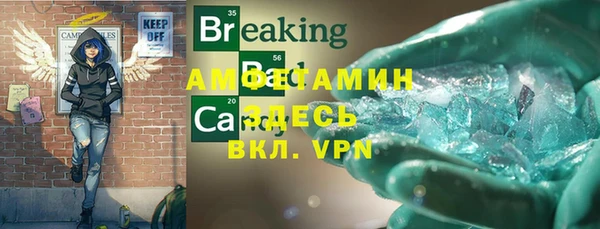 индика Надым