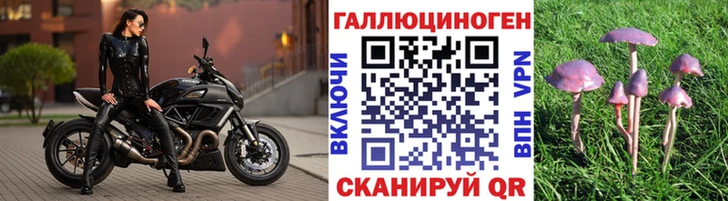 Псилоцибиновые грибы прущие грибы  Купить  Печоры 